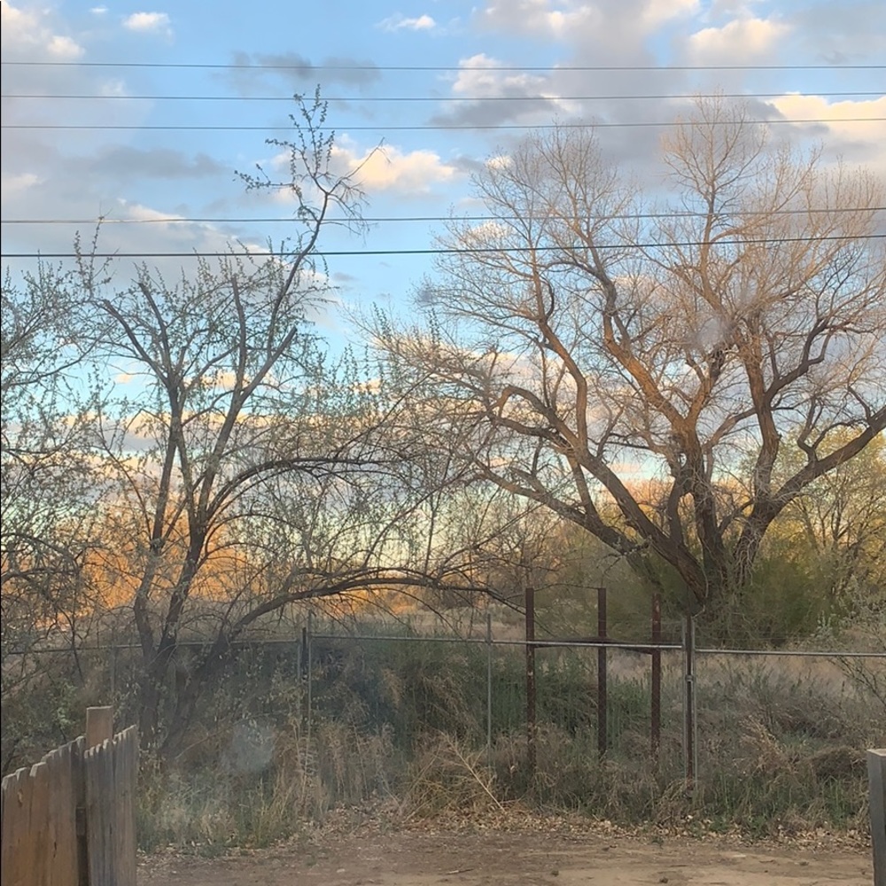 Meet your Posher, Micaela